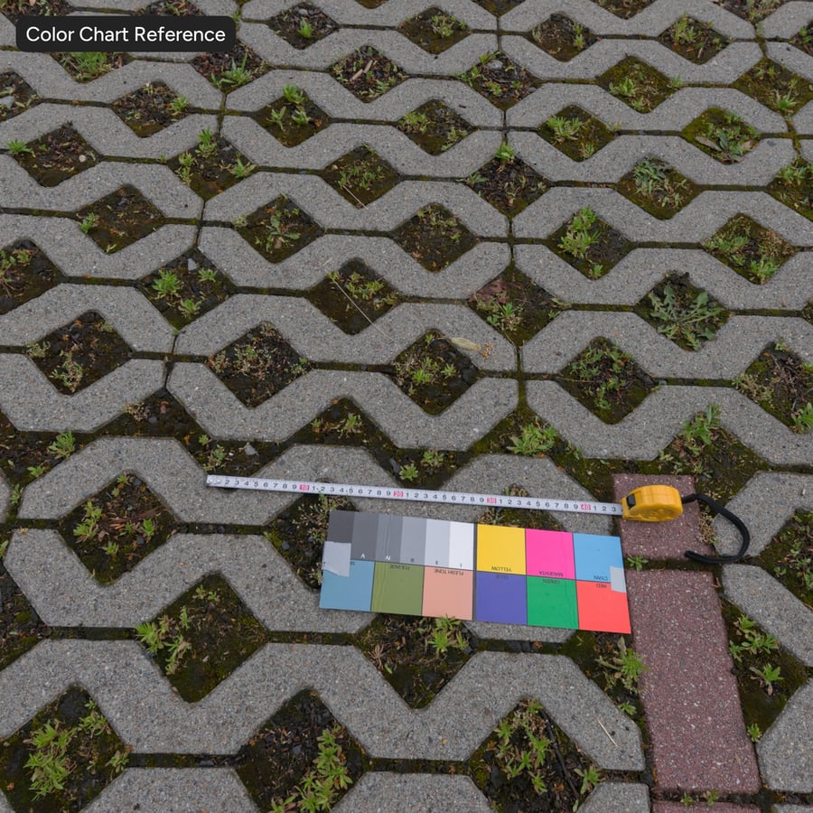 Onkruid op gedessineerde Eco Stone bestratingtextuur