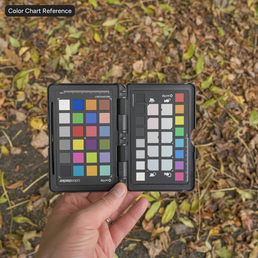 Feuilles entièrement recouvertes sur texture de sol asphalté