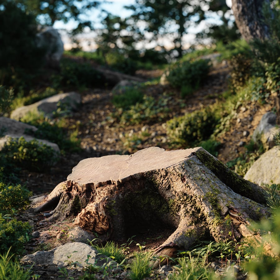 Modelo de tronco com raízes de floresta musgosa