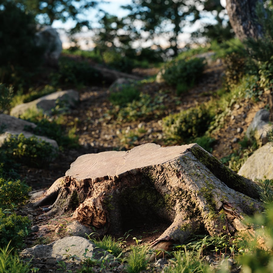 Short Cut Mossy Forest Roots Stump Model