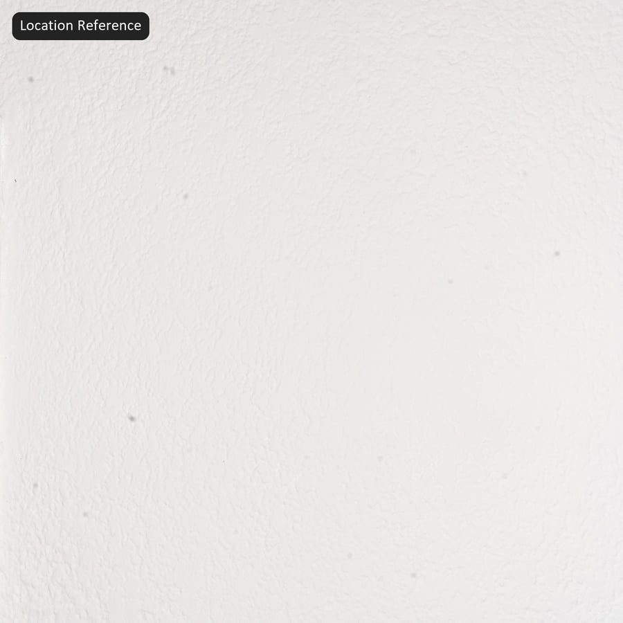 Fine Stipple Painted Interior Wall Texture, White