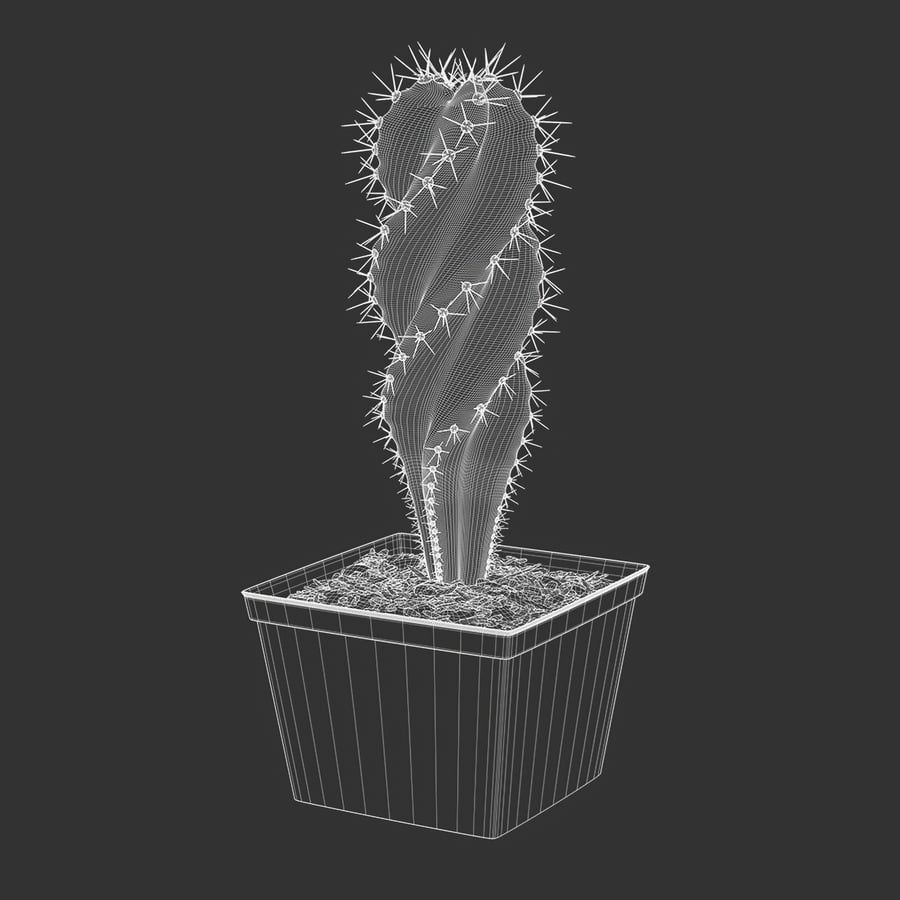 Spiral Cactus Potted Plant Model