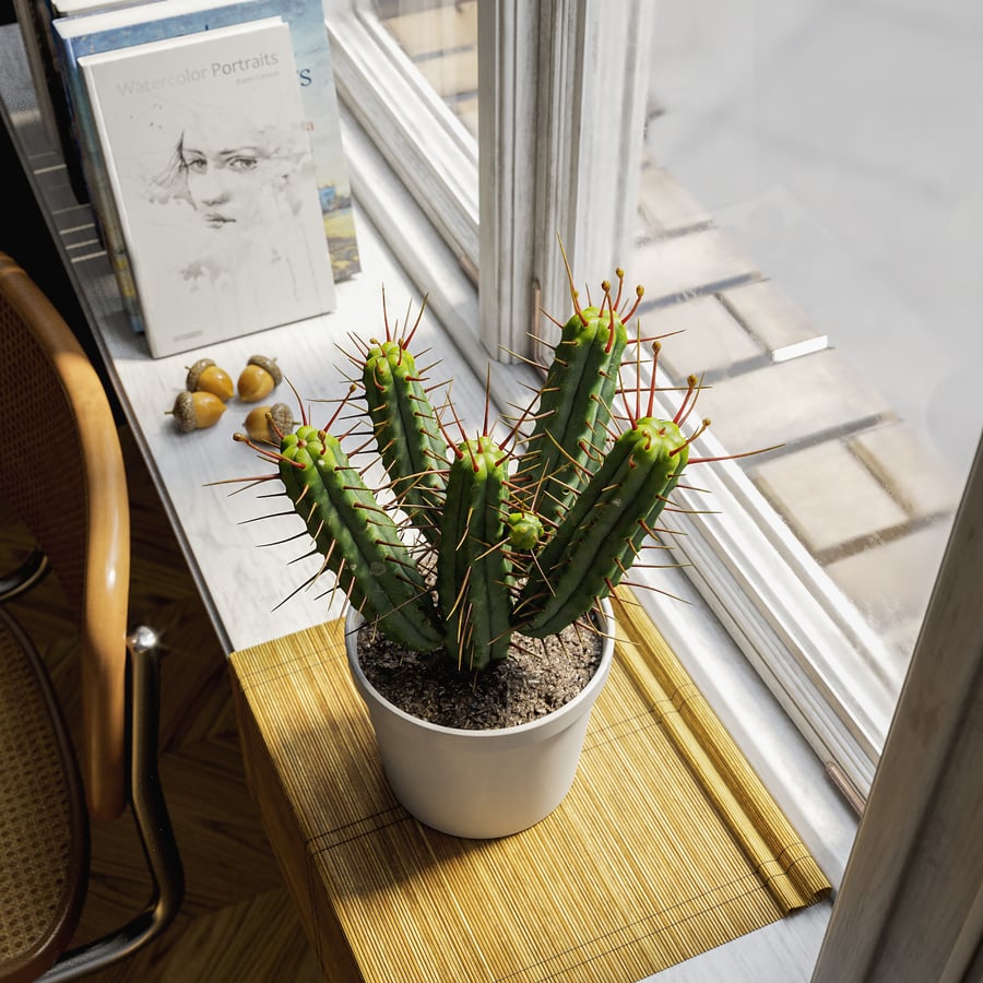 Euphorbia Cactus Potted Plant Model