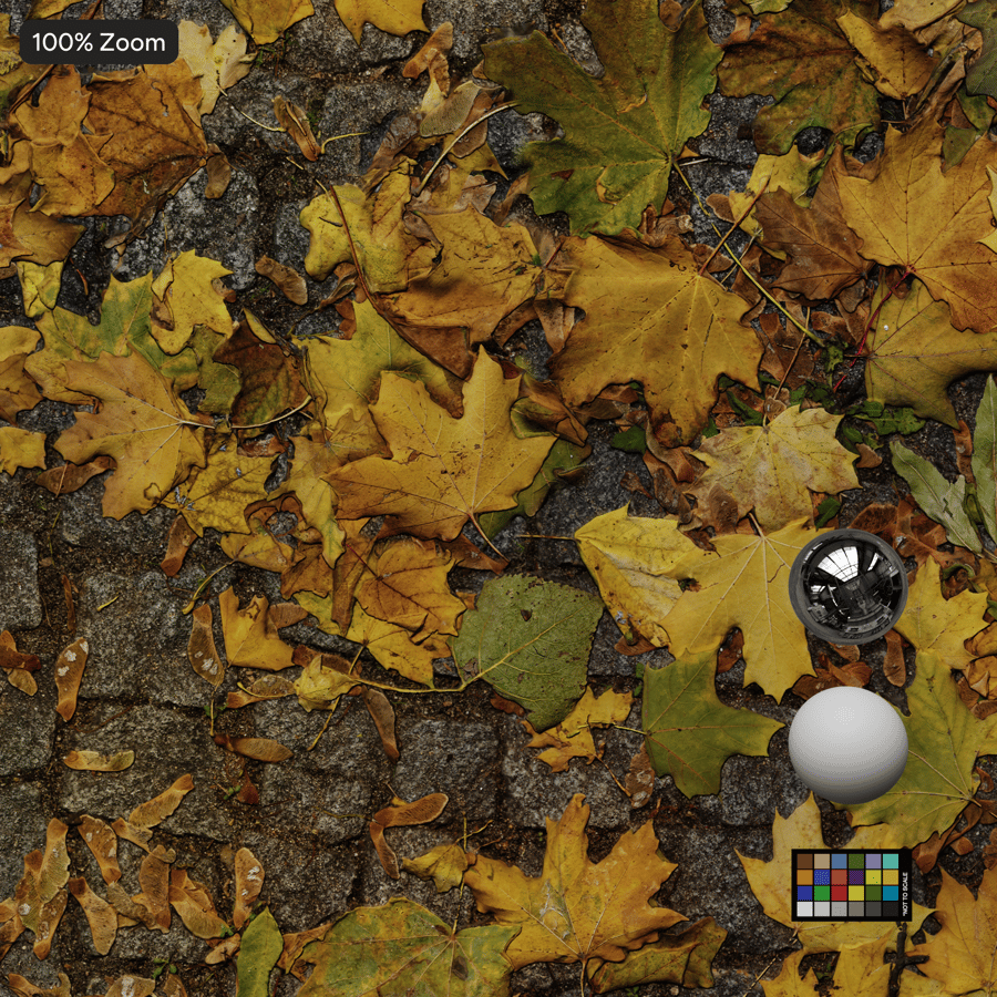 Spadané listí na dlažbě Textura