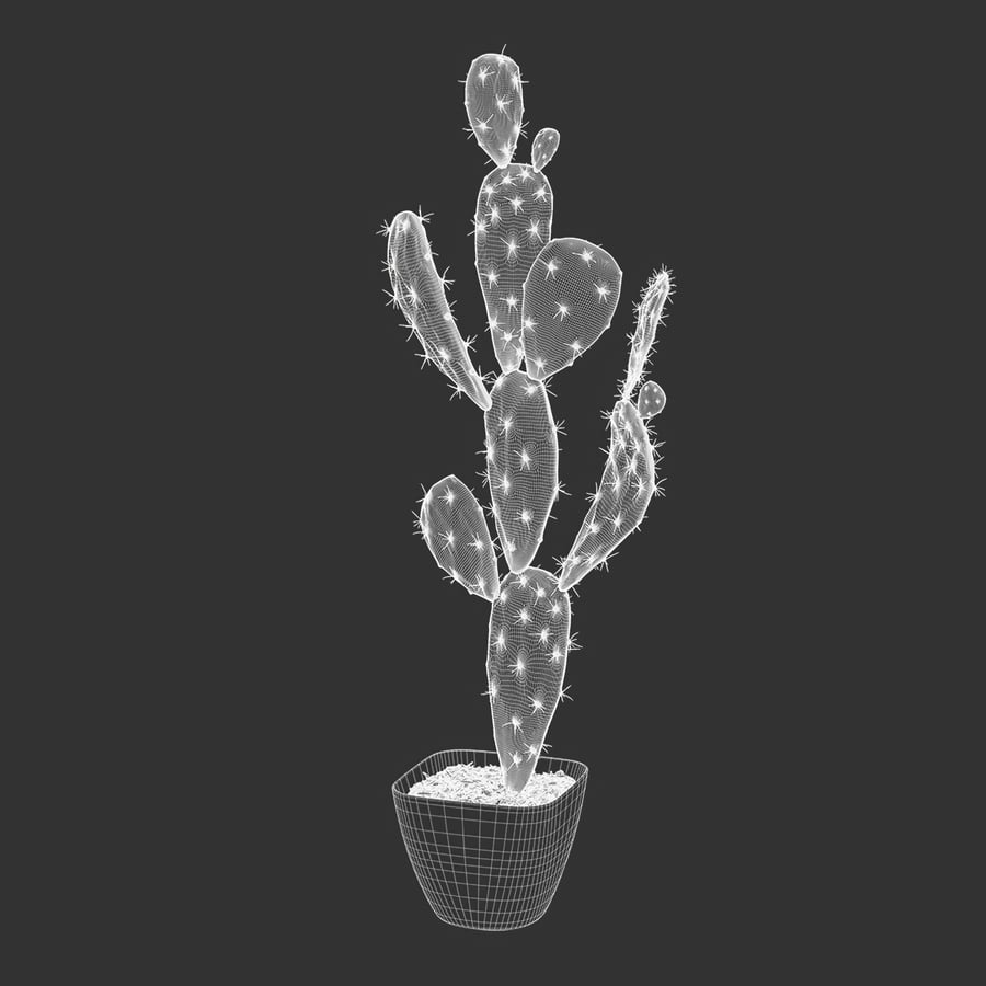 Watered Prickly Pear Cactus Potted Plant Model