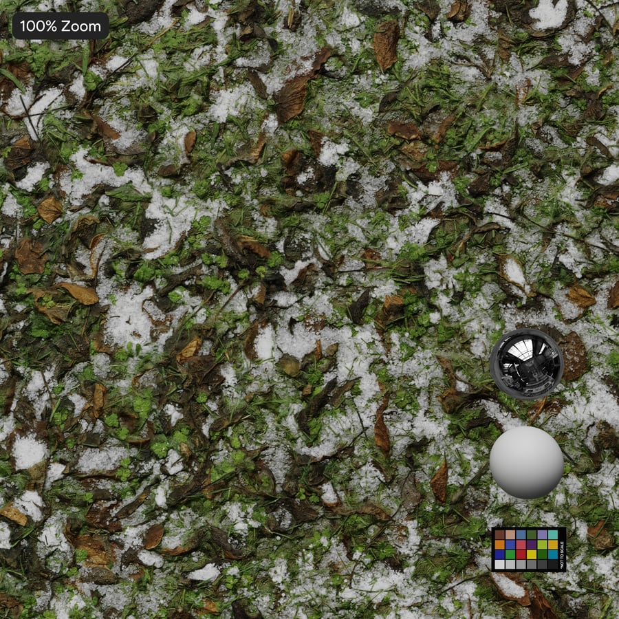 Textura de neve e folhas caídas na relva