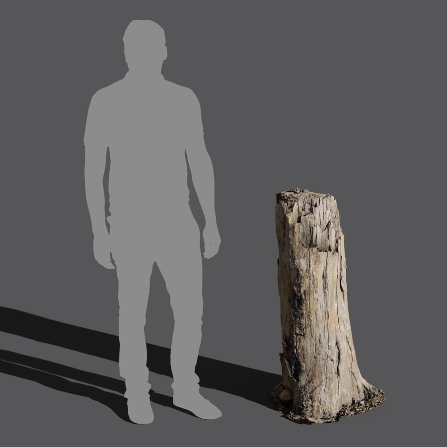 Tall Broken Bare Splintered Stump Model