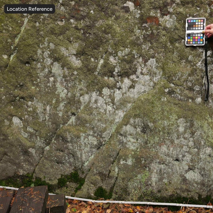 Mossy Weathered Cliff Rock Texture