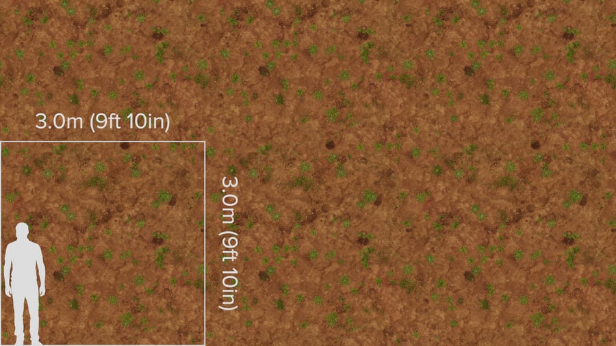 Ervas daninhas irregulares em textura de terra
