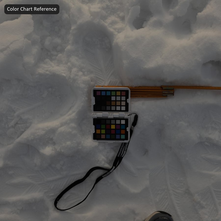 Footprints on Chunky Snow Texture