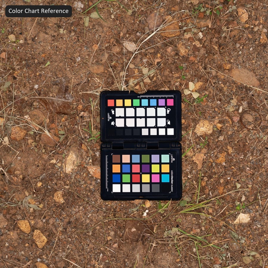 Dry Dirt Ground Texture