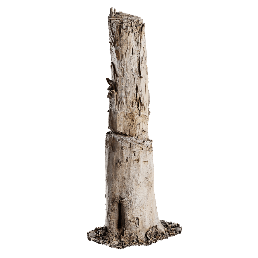 Tall Cut Damaged Stump Model