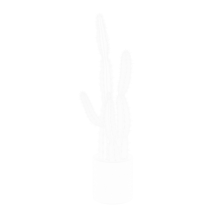 Modelo de planta de cacto saguaro