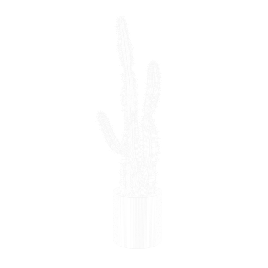 Saguaro Cactus Plant Model