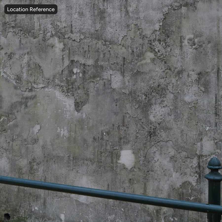 Worn Plaster Texture, Grey