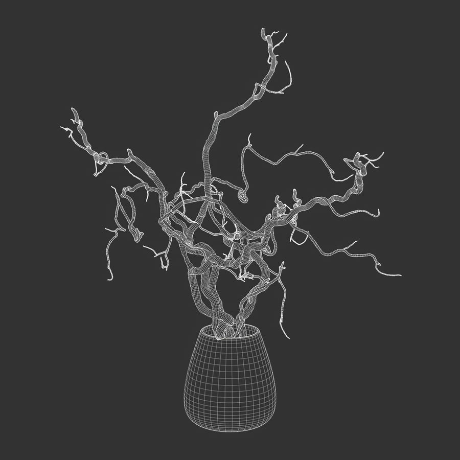 Bare Corkscrew Hazel Potted Plant Model