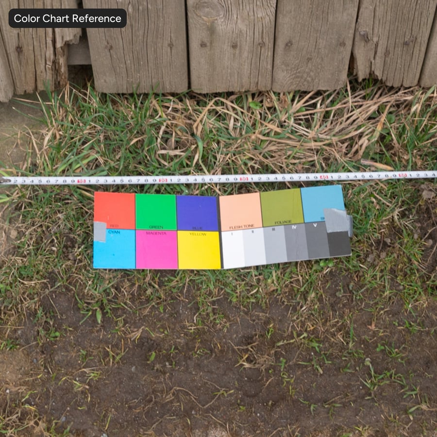 Texture murale en bois de grange brûlé