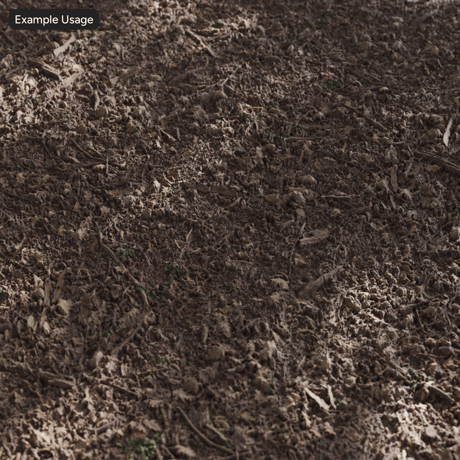 Detritos de folhas na textura da floresta