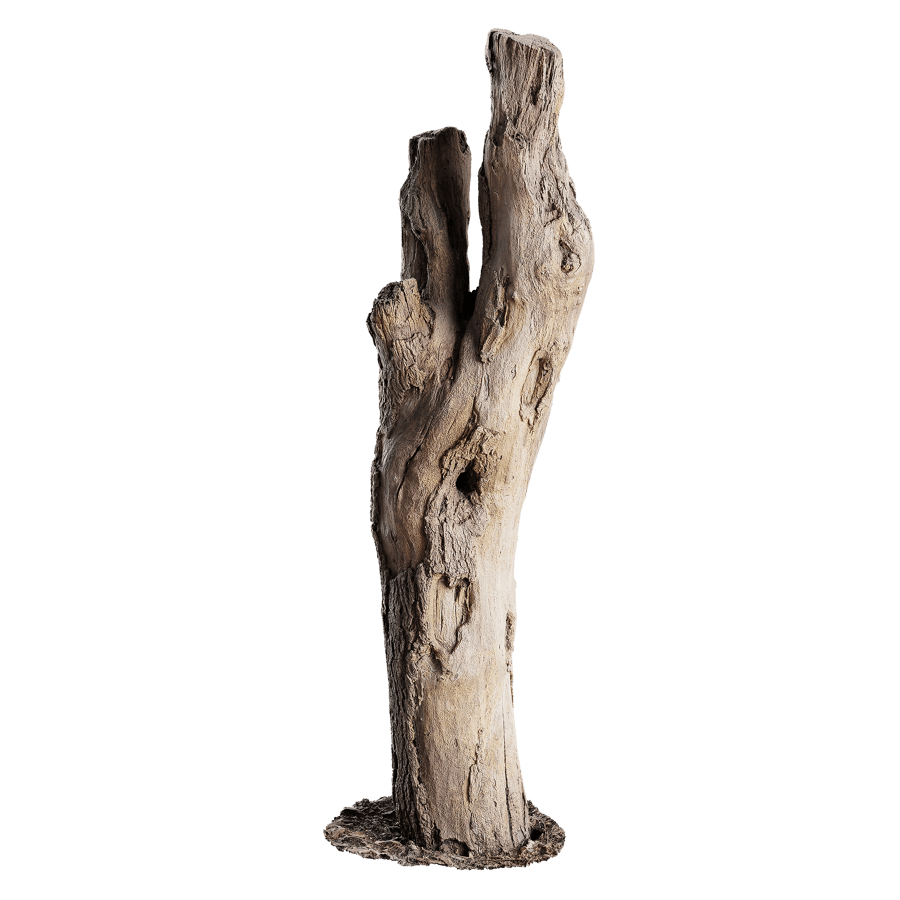 Tall Cut Deciduous Stump Model