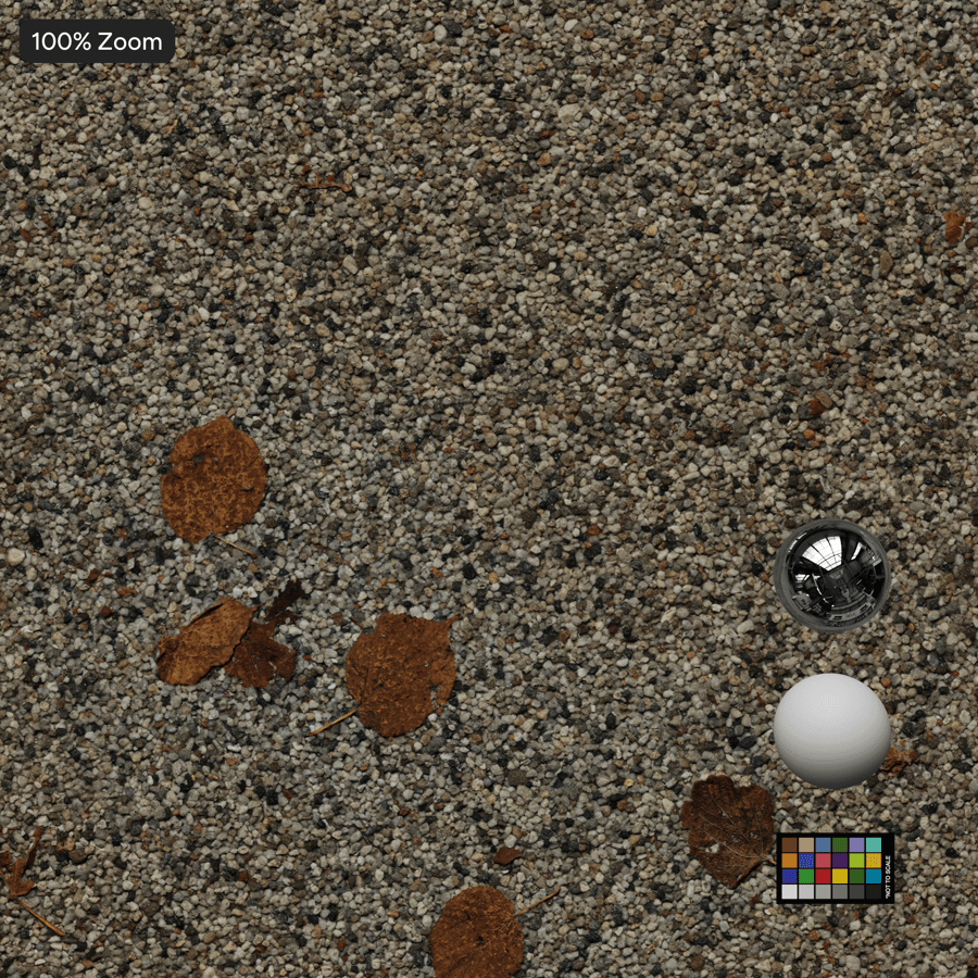 Fallen Leaves on Aggregate Concrete Sidewalk Texture