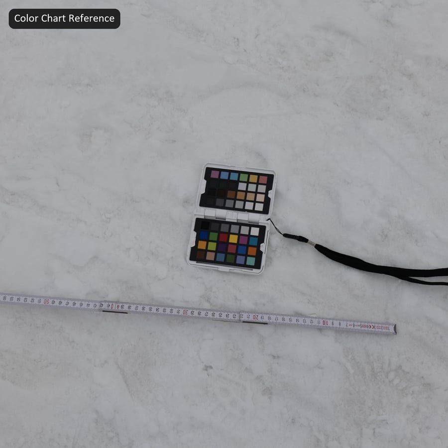 Däckmärken och fotspår på snö Textur