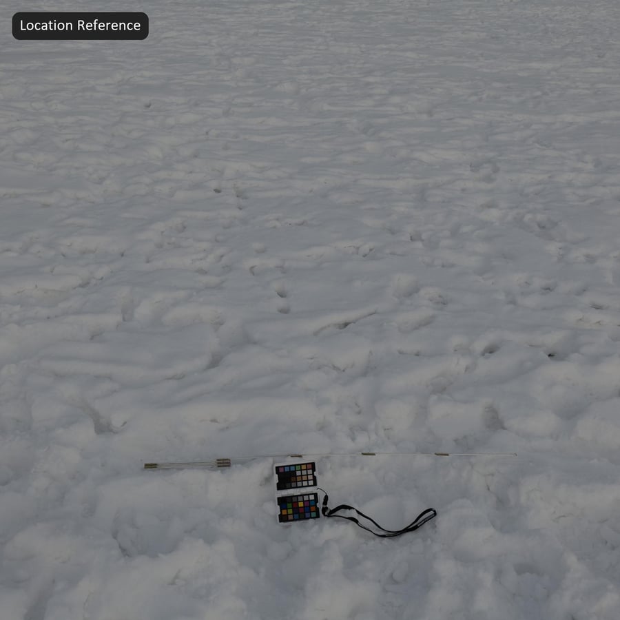 Footprints on Snow Texture