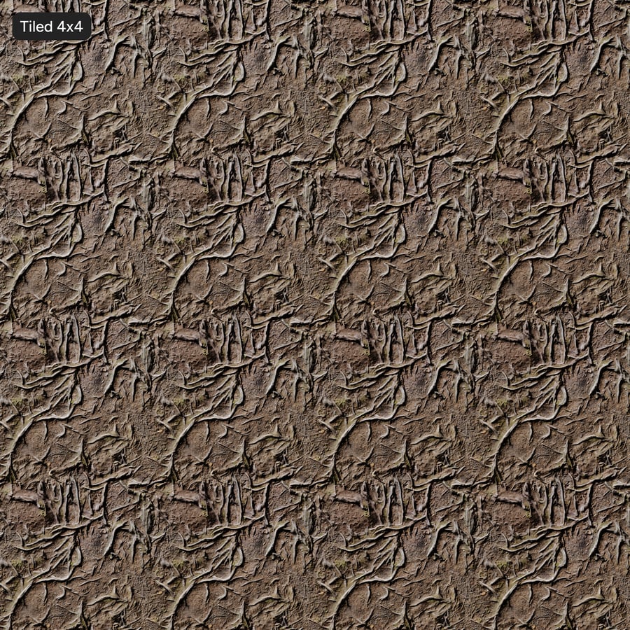 Textura de raízes de árvores na floresta