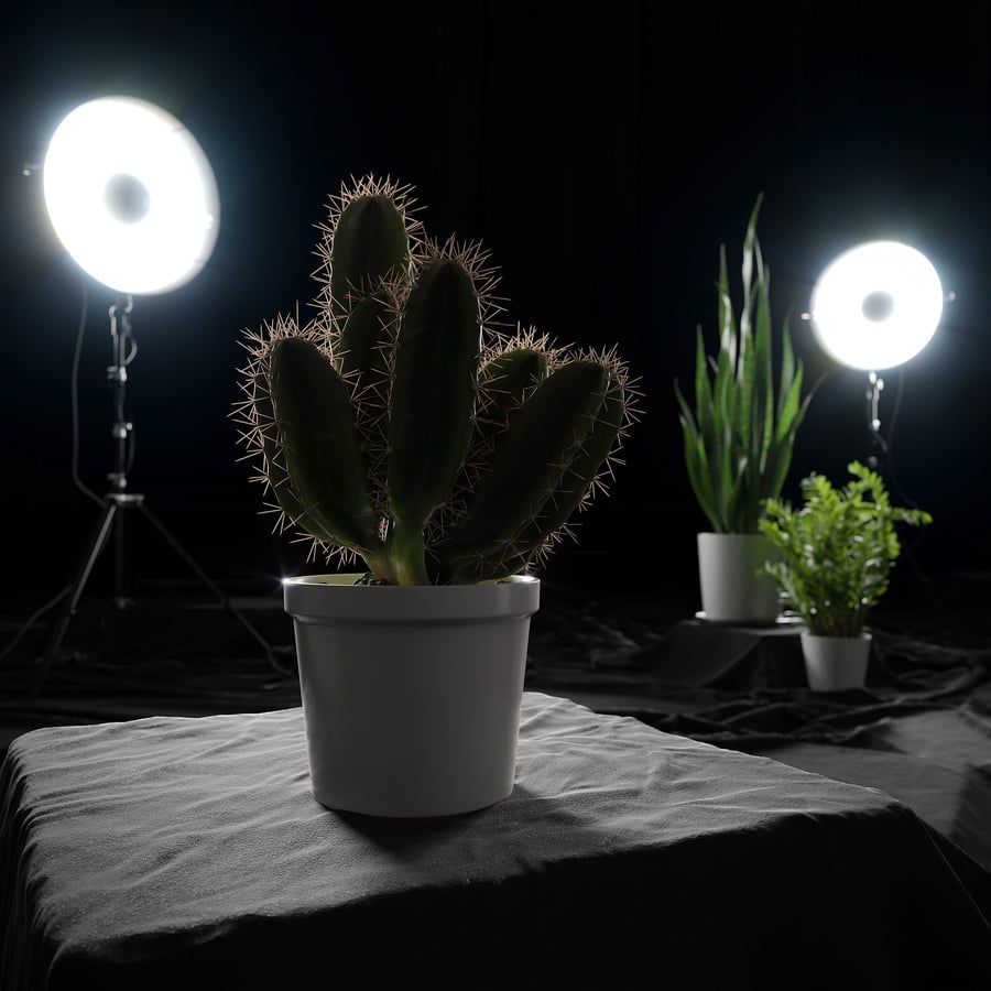 Generic Cactus Plant Model