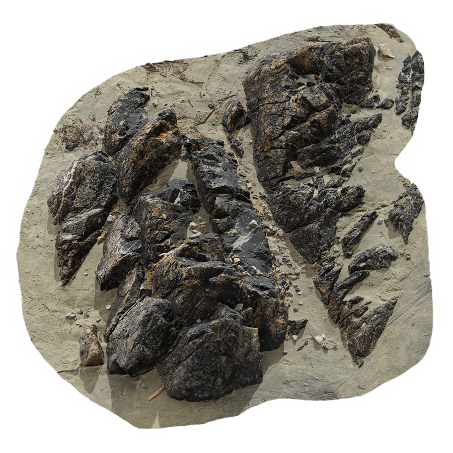 Large Dark Jagged Beach Rock Model