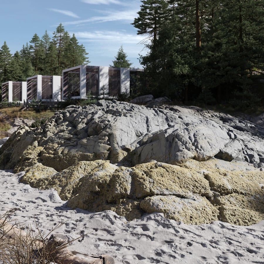 Giant Lichen Covered Beach Rock Model