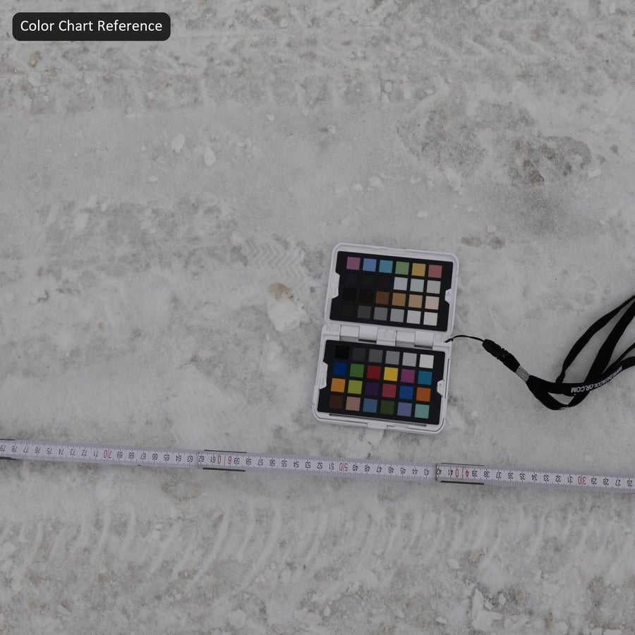 Keréknyomok és lábnyomok a hó textúráján