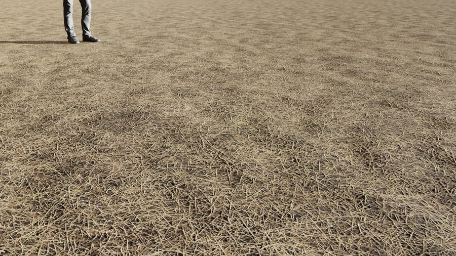 Old Straw Floor Texture