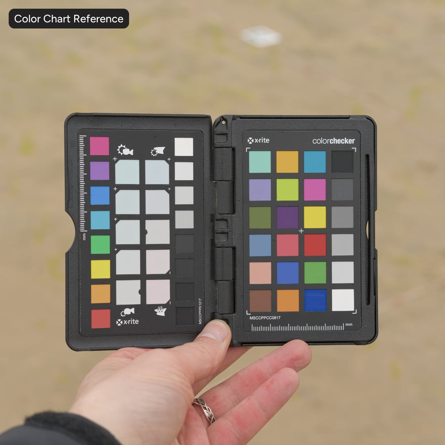 Dirty Wet Beach Sand Texture