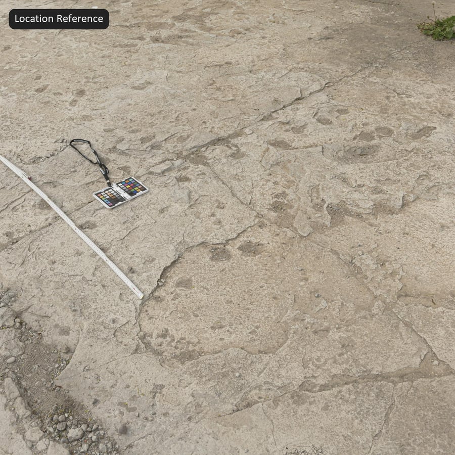 Eroded Concrete Texture