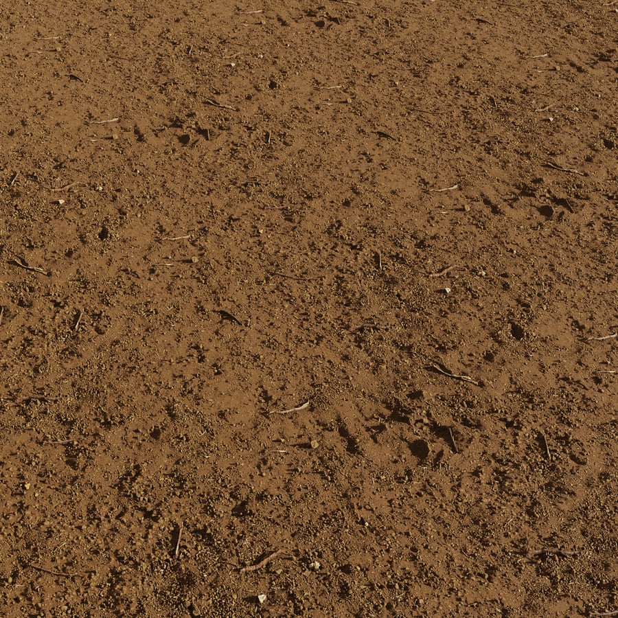 Rocky Soil Ground Texture