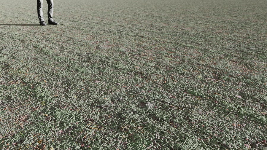 Textura musgo, verde pálido