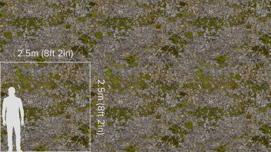 Casca em decomposição em textura de floresta musgosa irregular