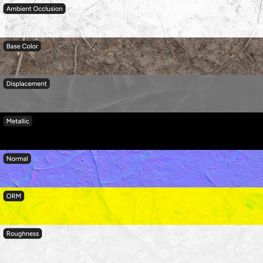 Conifer Roots on Forest Ground Texture