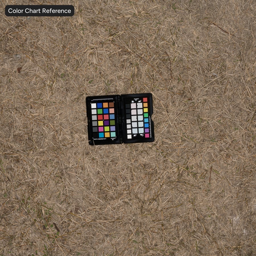 Ξηρό άχυρο χόρτο στο έδαφος Υφή