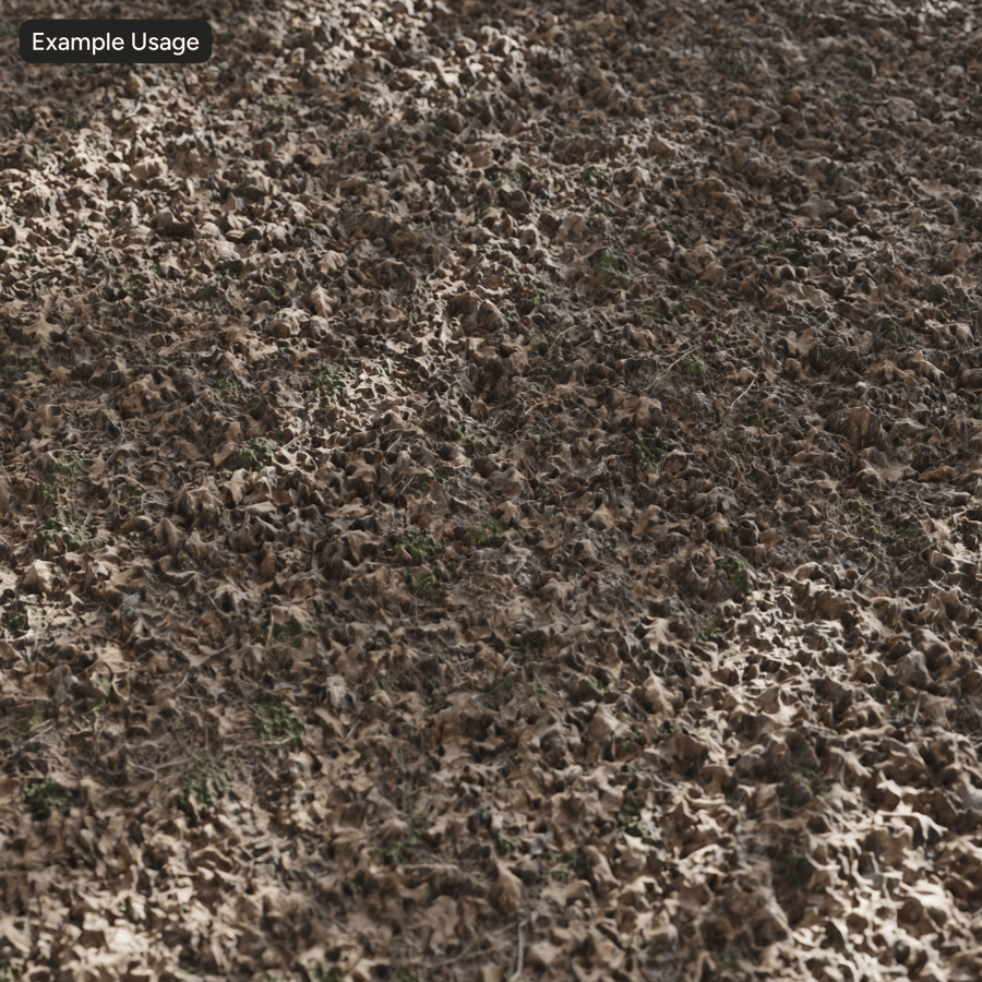 Textura de folhas mortas com manchas de grama