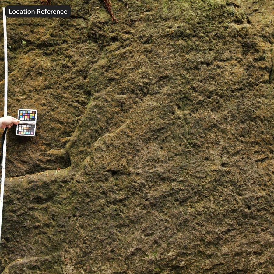 Texture roccia scoscesa e muschiosa