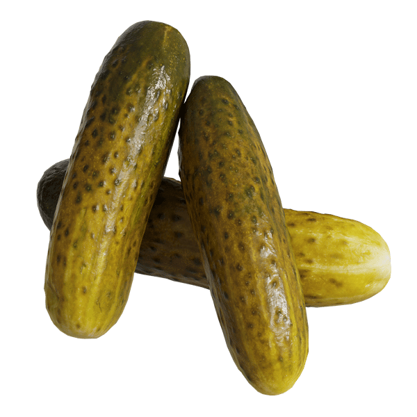 Pickle Models