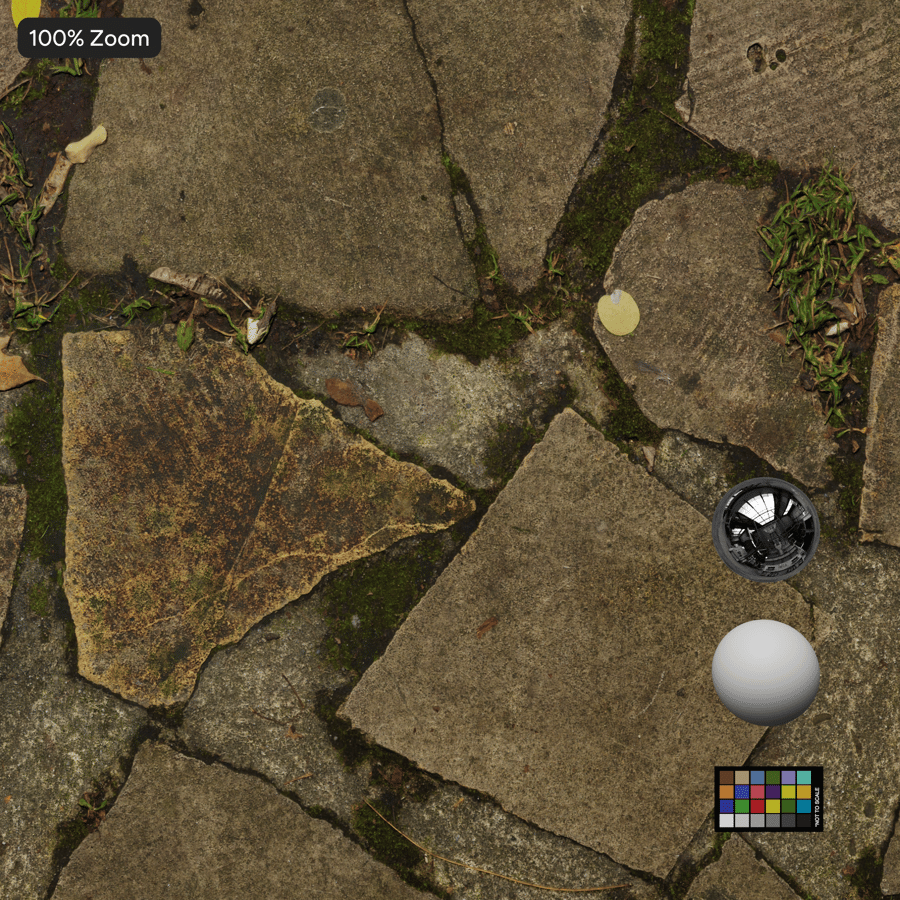 Leaves on Flat Stone Sidewalk Texture