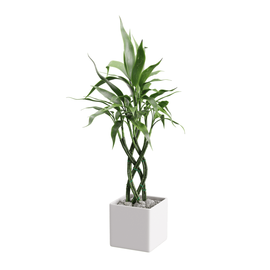 Bamboo Trellis Plant Model