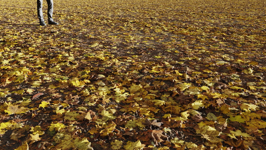 Leaf Forest Path Ground Texture, Yellow