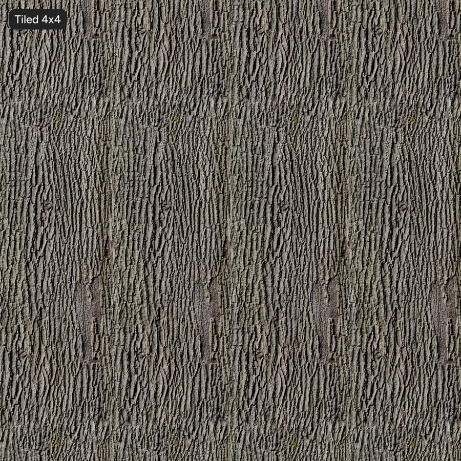 Textura de casca de madeira dura estriada, castanho claro