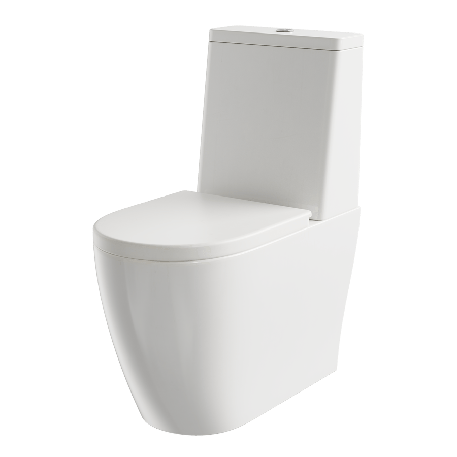 One-Piece Toilet Model