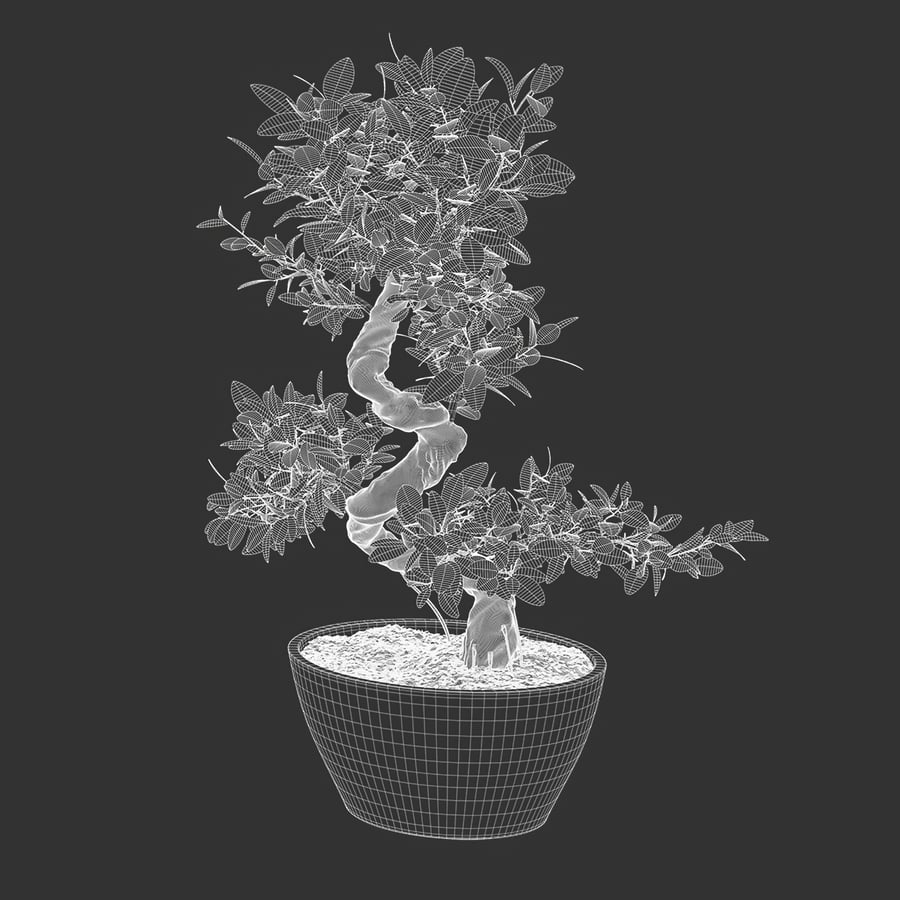 Modelo de planta em vaso bonsai