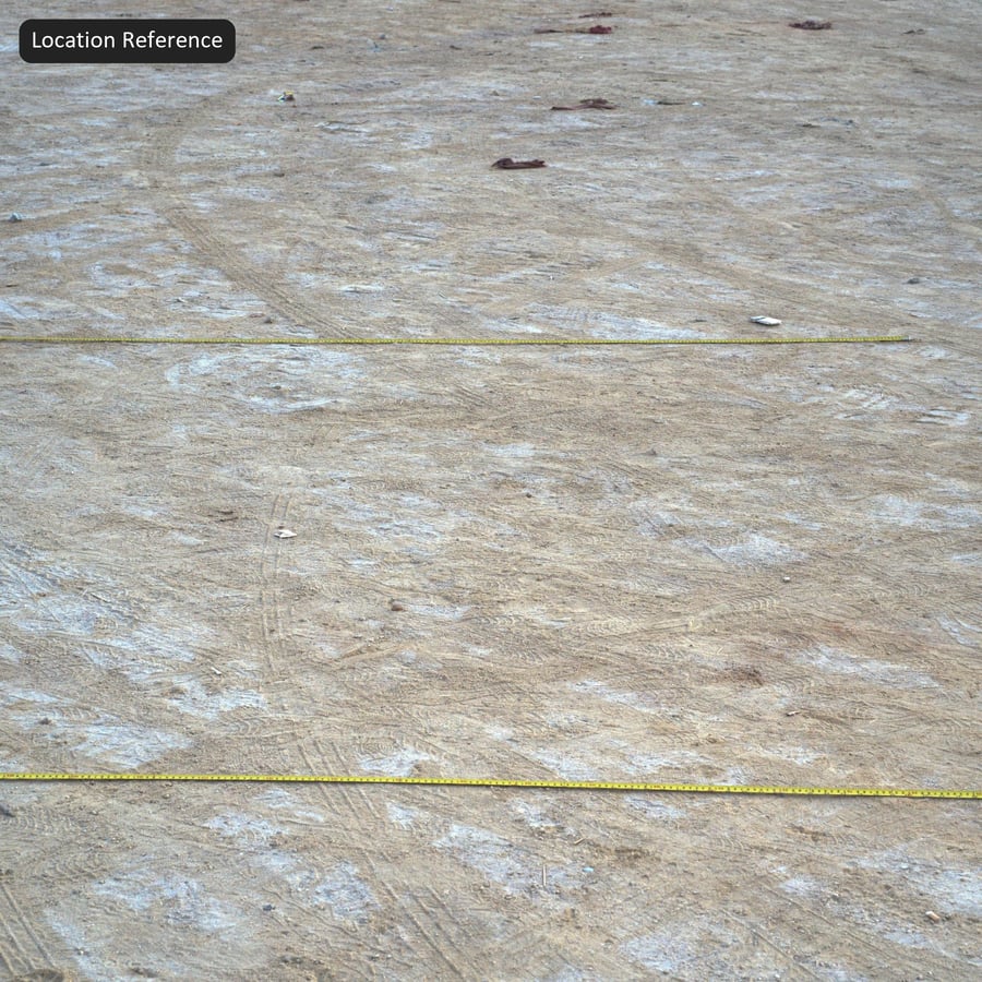 Tire Tracks on Compacted Sandy Ground Texture