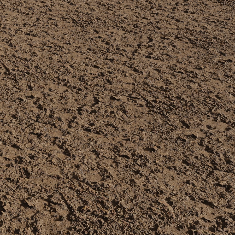 Rocky Mud Ground Texture